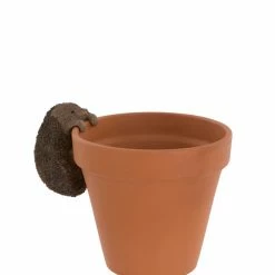 Mooch..... Hedgehog Pot Hanger