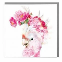 Mooch..... Lola Design Greetings Card - Pink Cockatoo New Arrivals