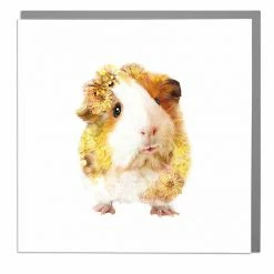 Mooch..... New Arrivals Lola Design Greetings Card - Guinea Pig
