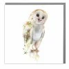 Mooch..... New Arrivals Lola Design Greetings Card - Barn Owl