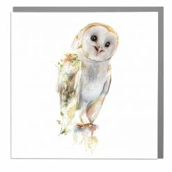 Mooch..... New Arrivals Lola Design Greetings Card - Barn Owl