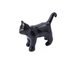 Mooch..... Lucky Black Cat