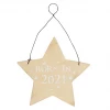 Mooch..... "Born In 2021" Wooden Hanging Star