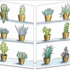 Mooch..... Sophie Turrel Folding Greetings Card - Cacti CT323 Greetings Cards