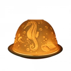 Best reviews of 🔥 Mooch-andover Light-Glow Aquatic Tealight Candle Holder New Arrivals 💯 6 Mooch-andover Light-Glow Aquatic Tealight Candle Holder New Arrivals