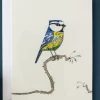Mooch..... Daniel Mackie Blue Tit Greetings Card Greetings Cards