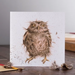 Mooch..... New Arrivals Greetings Card Wrendale Designs - What A Hoot