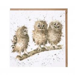 Mooch..... Greetings Card Wrendale Designs - You First! Greetings Cards