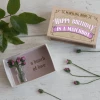 Mooch..... New Arrivals Happy Birthday Bunch Of Roses In A Vase In A Matchbox