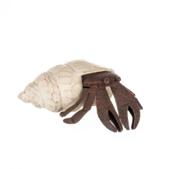 Mooch..... Nautical Gifts Henry The Hermit Crab Ornament