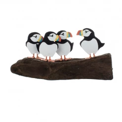 Mooch..... Shoeless Joe Circus Of Puffins