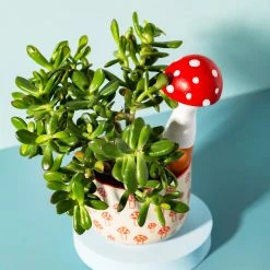 Best deal 🌟 Mooch..... Mushroom Shaped Watering Spike 🎉 6 Mooch..... Mushroom Shaped Watering Spike